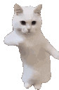 Фон 8